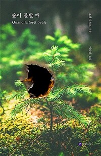 숲이 불탈 때