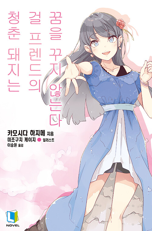 청춘 돼지는 걸 프렌드의 꿈을 꾸지 않는다