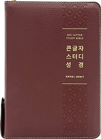 [뉴버건디] 큰글자 스터디성경 개역개정 새찬송가 - 대(大).합본.색인