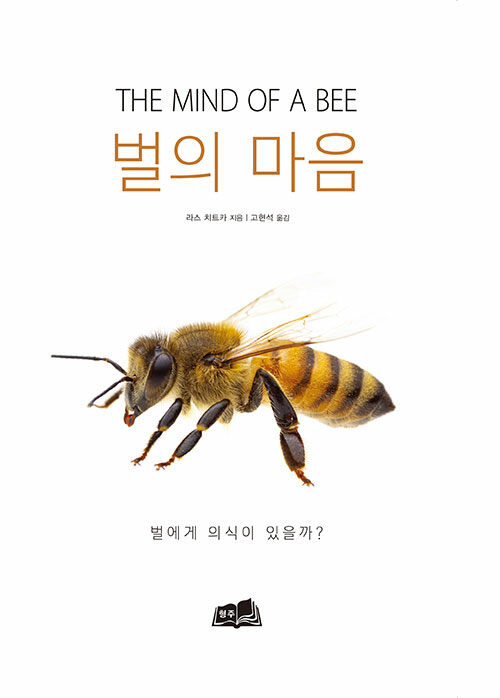 벌의 마음