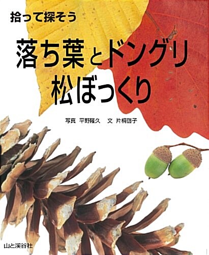 拾って探そう 落ち葉とドングリ·松ぼっくり (大型本)