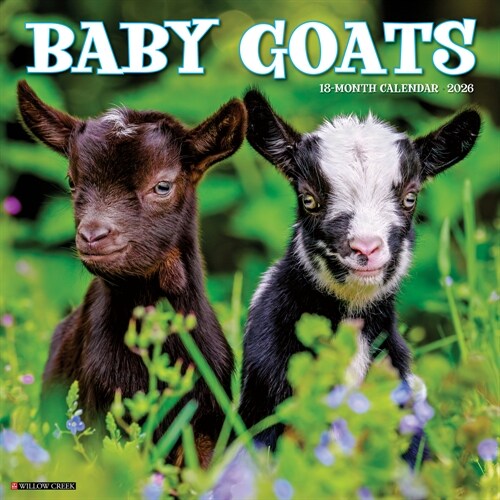 Baby Goats 2026 12 X 12 Wall Calendar (Spiral)