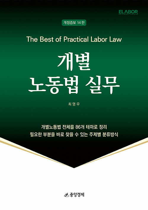개별 노동법 실무