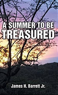 A Summer to Be Treasured (Hardcover)