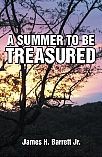 A Summer to Be Treasured (Paperback)