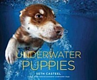 Underwater Puppies (Hardcover)
