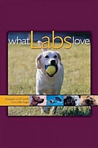 What Labs Love (Paperback)