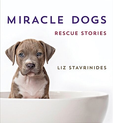 Miracle Dogs: Rescue Stories (Hardcover)