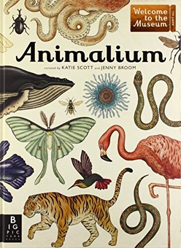 Animalium: Welcome to the Museum (Hardcover)