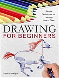 Drawing for Beginners: Simple Techniques for Learning How to Draw (Paperback)