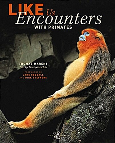 Like Us: Encounters with Primates (Hardcover)