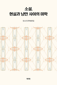 소설, 현실과 낭만 사이의 미학 커버