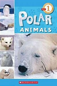 Polar Animals (Paperback)