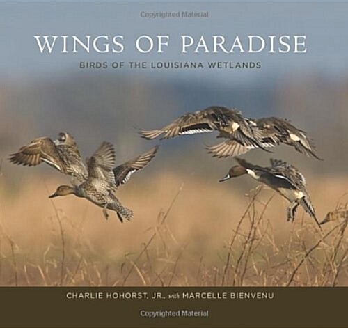 Wings of Paradise: Birds of the Louisiana Wetlands (Hardcover)