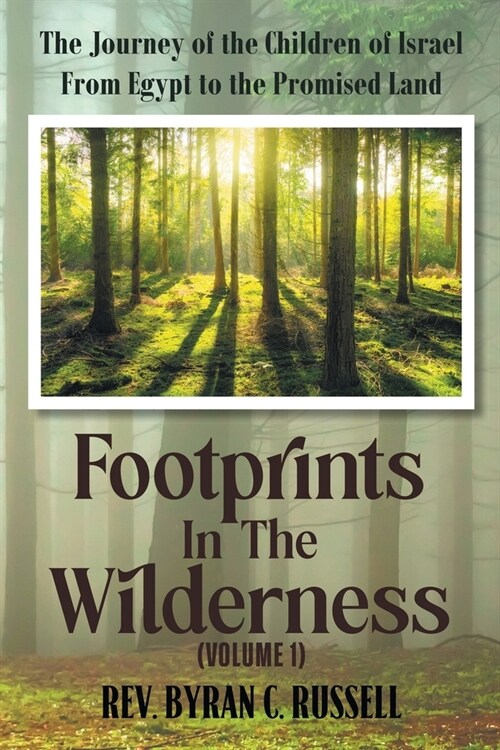 Footprints in the Wilderness (Volume 1): The Journey of the Children of Israel From Egypt to the Promised Land (Paperback)