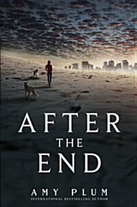 After the End (Hardcover)