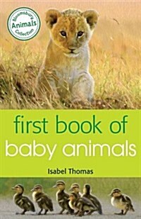 First Book of Baby Animals (Paperback)
