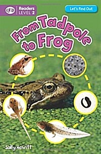 Lets Find Out: Tadpole to Frog (Paperback)