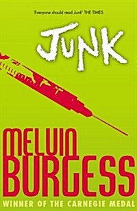 Junk (Paperback)