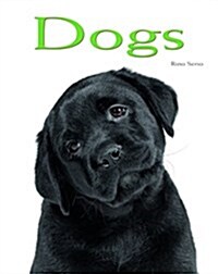 Dogs Pocket Book (Hardcover)