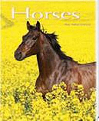 Horses Pocket Book (Hardcover)