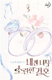 내겐 너무 소란한 결혼 3