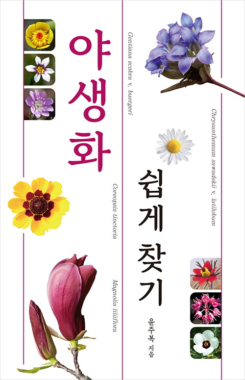 야생화 쉽게 찾기