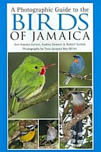 A Photographic Guide to the Birds of Jamaica (Paperback)
