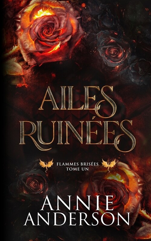 Ailes ruin?s (Paperback)