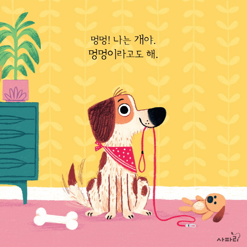 완벽한 개의 하루 : 알라딘