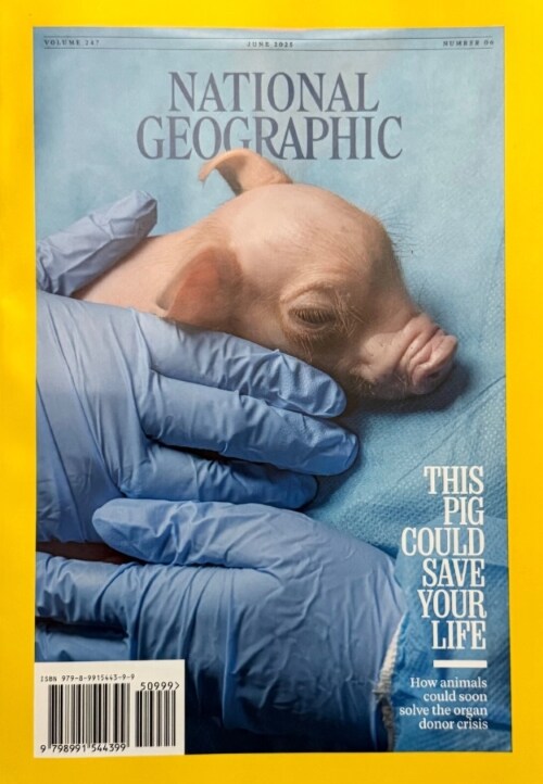 National Geographic USA (월간) : 2025년 6월