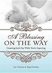 A Blessing on the Way : Counting Each Day While Youre Expecting (Paperback)