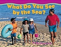 What Do You See by the Sea (Paperback, BIG)