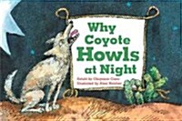 Why Coyote Howls at Night (Paperback, BIG)