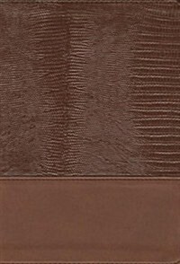 Santa Biblia de Estudio-Rvr 1960 (Imitation Leather)