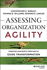 Assessing Your Organizations Agility (J-B Short Format Series) (Paperback, 1st)