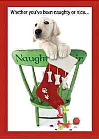 Pup in Naughty Chair Boxed Holiday Cards (STY, BOX, GCR)