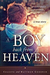 A Boy Back from Heaven (Paperback)