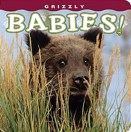 Grizzly Babies! (Board Books)