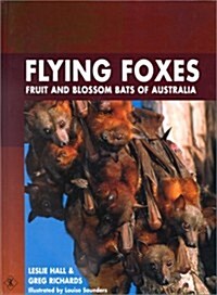 Flying Foxes (Hardcover)