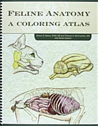 Feline Anatomy: A Coloring Atlas (Paperback)