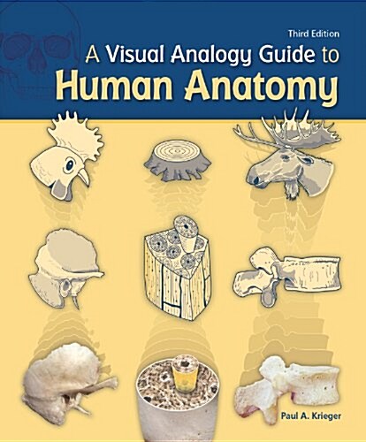 A Visual Analogy Guide to Human Anatomy (Loose Leaf, 3)