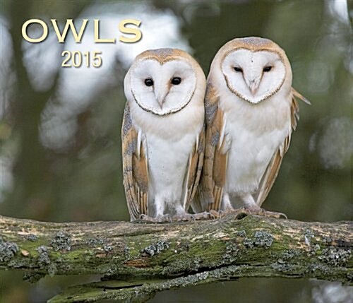 Owls (Wall, 2015)
