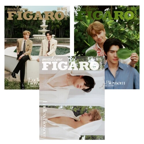 [C형] madame FIGARO Mode (중국) 2025년 5월호 : Smart & Boom (A형 세트 + B형 세트 + 특별잡지 + 카드 11장)