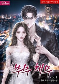 부부 채무 1