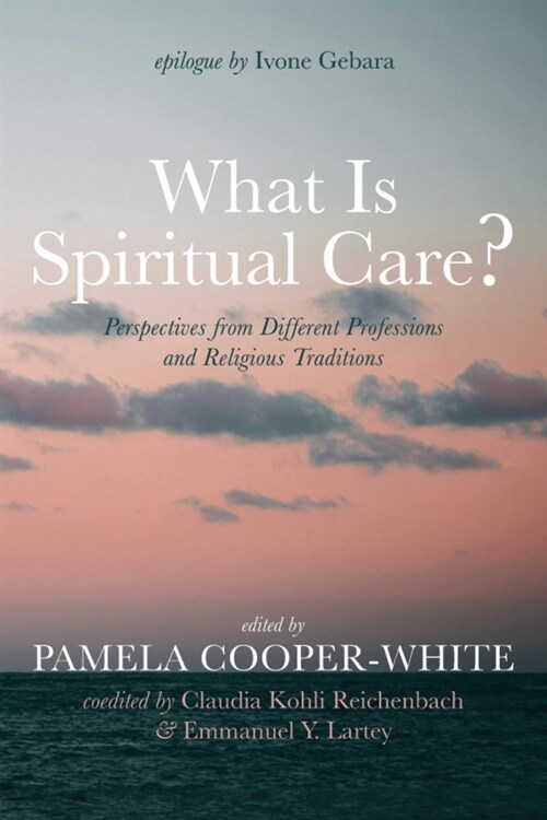 What Is Spiritual Care?: Perspectives from Different Professions and Religious Traditions (Paperback)