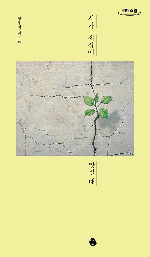 [큰글자도서] 시가 세상에 맞설 때