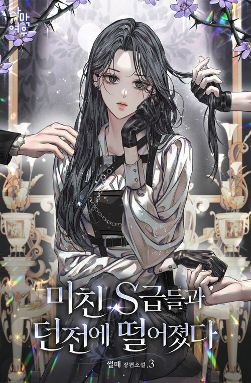 미친 S급들과 던전에 떨어졌다 3