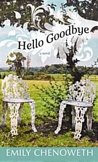 Hello Goodbye (Hardcover)
