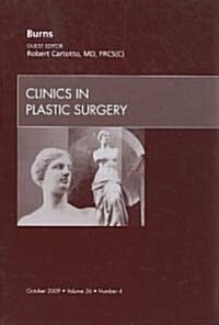 Burns, An Issue of Clinics in Plastic Surgery (Hardcover)